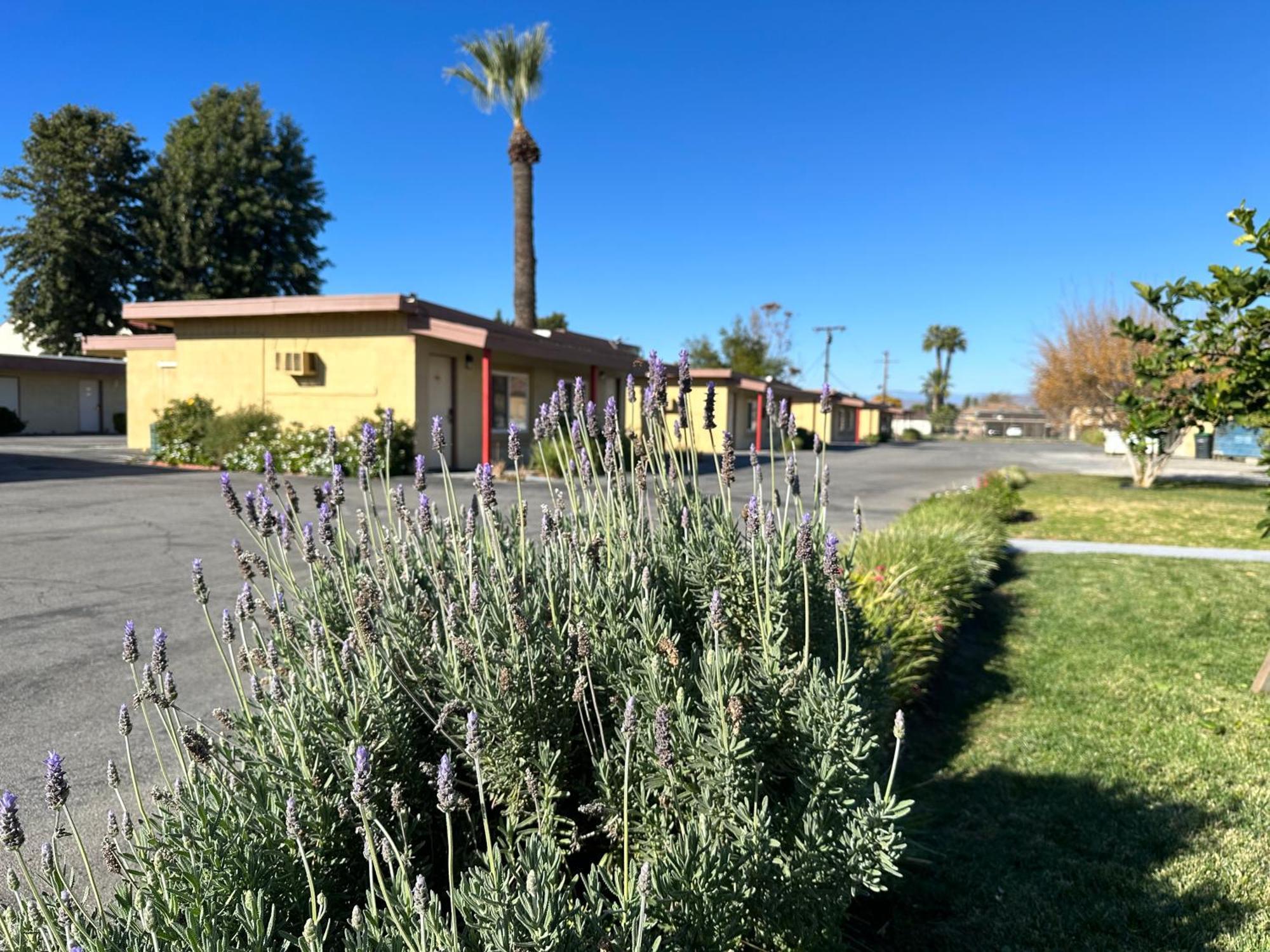 Royal Inn And Suites Hemet Exterior photo