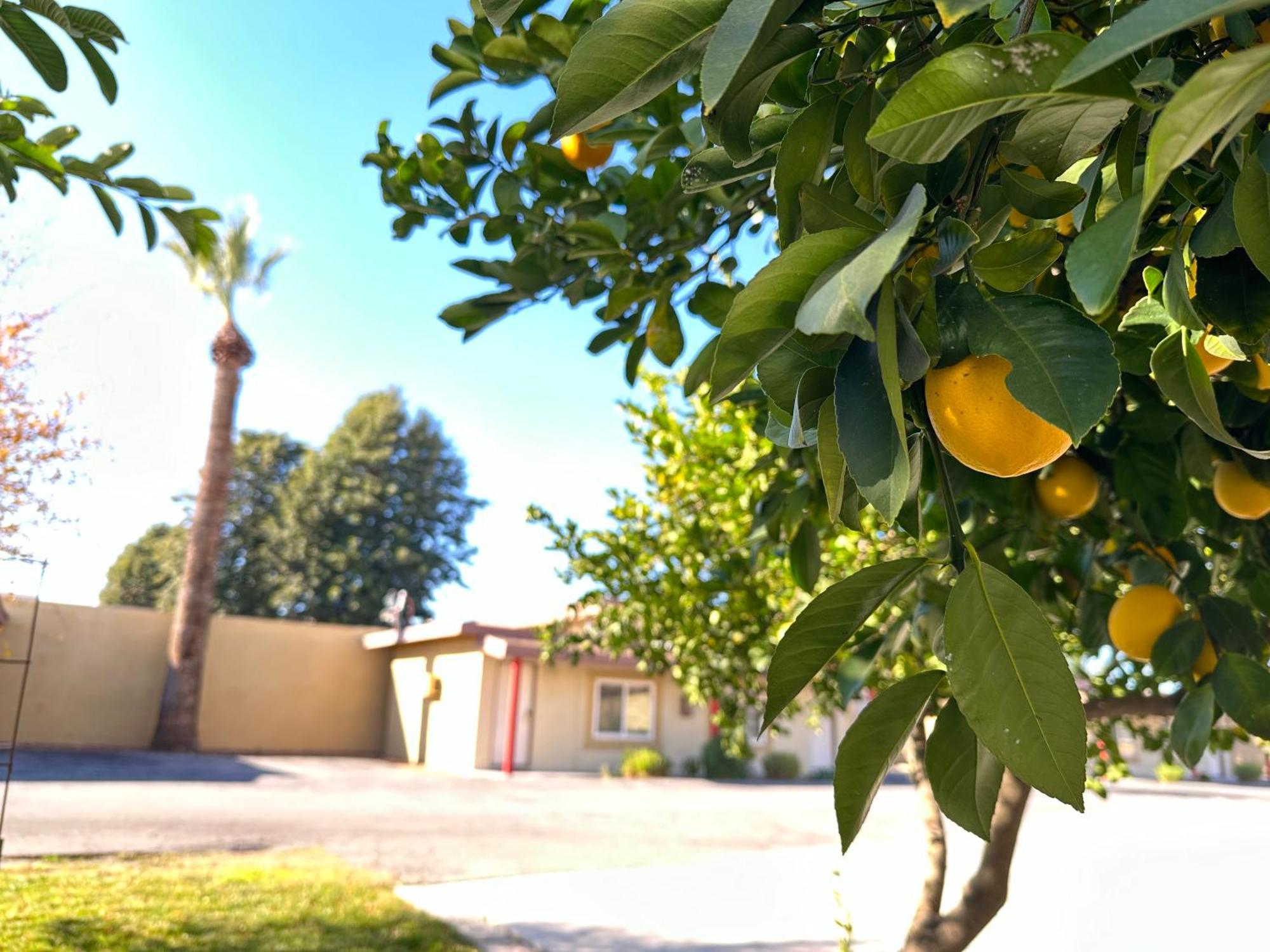 Royal Inn And Suites Hemet Exterior photo