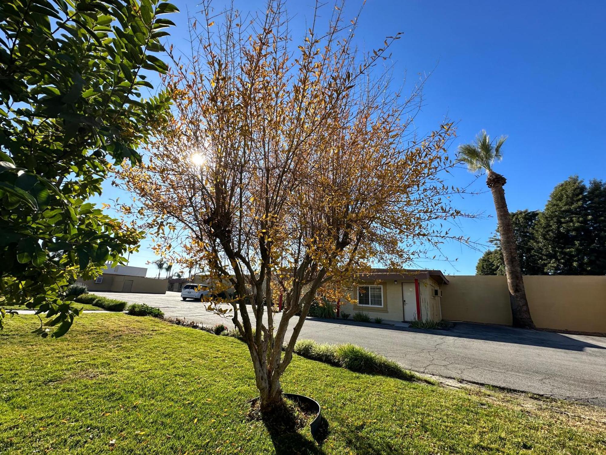 Royal Inn And Suites Hemet Exterior photo